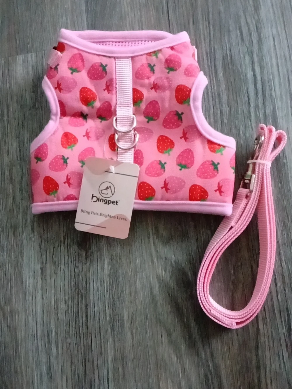 BINGPET Pet Harness and Leash Set Cat 😺  Size XL